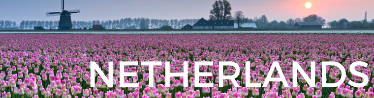 2019 holiday homes in Holland