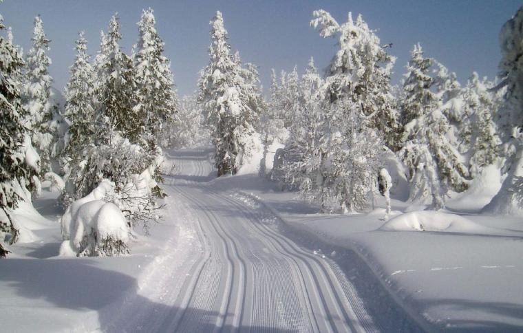 Skiing in Trysil - holiday accommodation in Norway