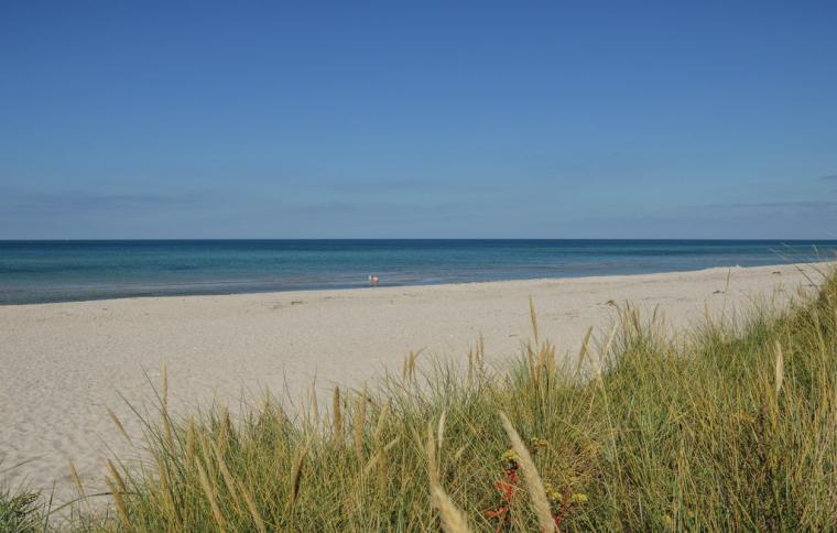 Holiday homes in Rörvig - holiday accommodation in Denmark
