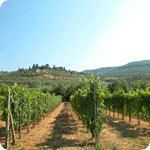 villas in chianti