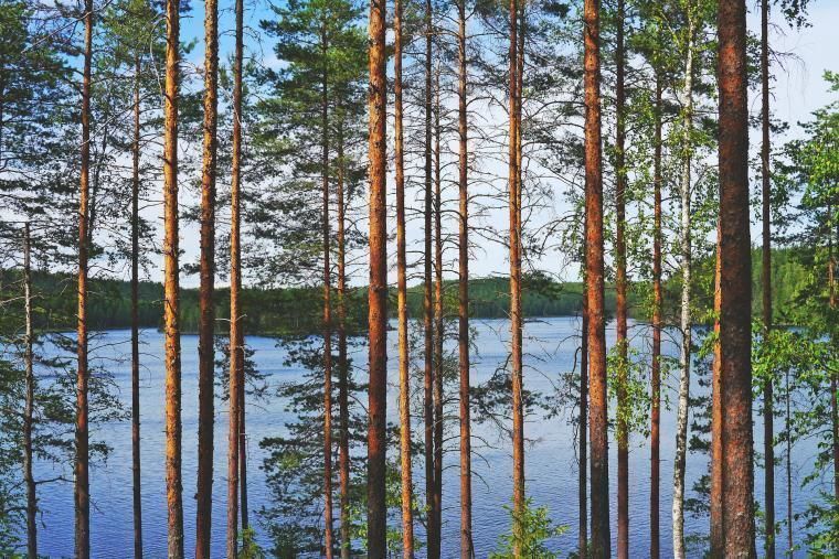 Holiday home in Finland