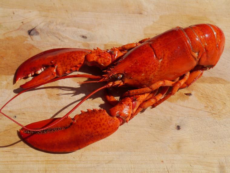Norwegian cuisine