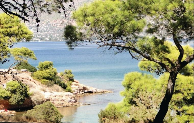Salamina