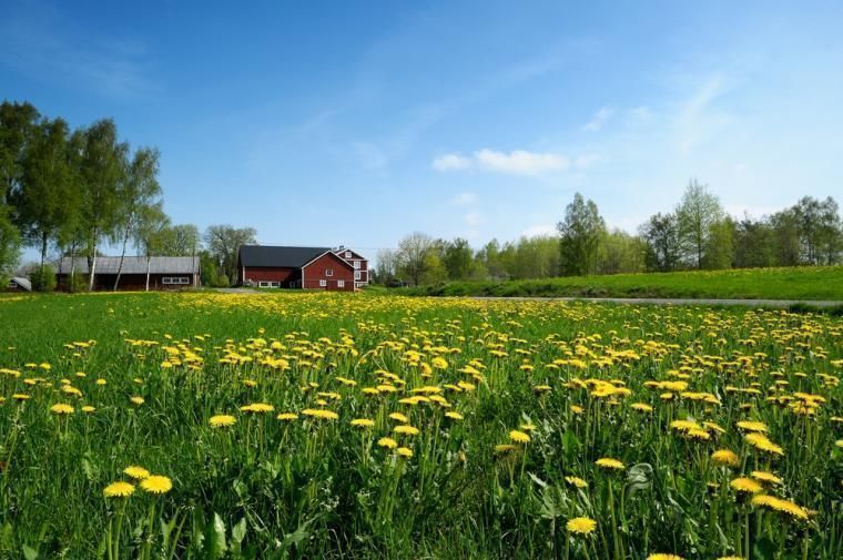 Holiday homes in Fröseke - Sweden holiday homes