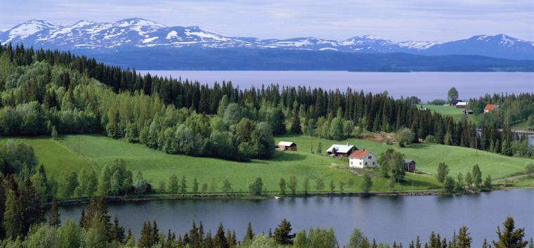 apartments in Sweden