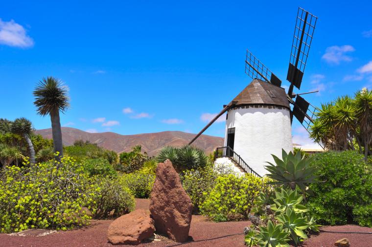 villas to rent in the Canary Islands