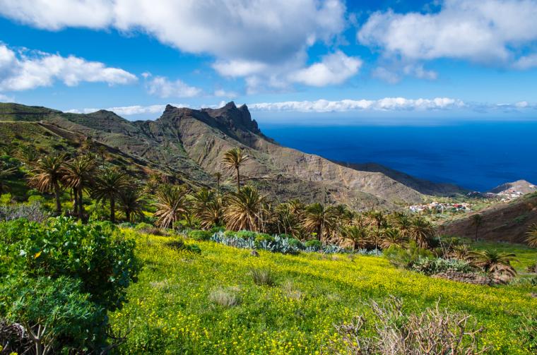 Holiday villas in the Canary Islands