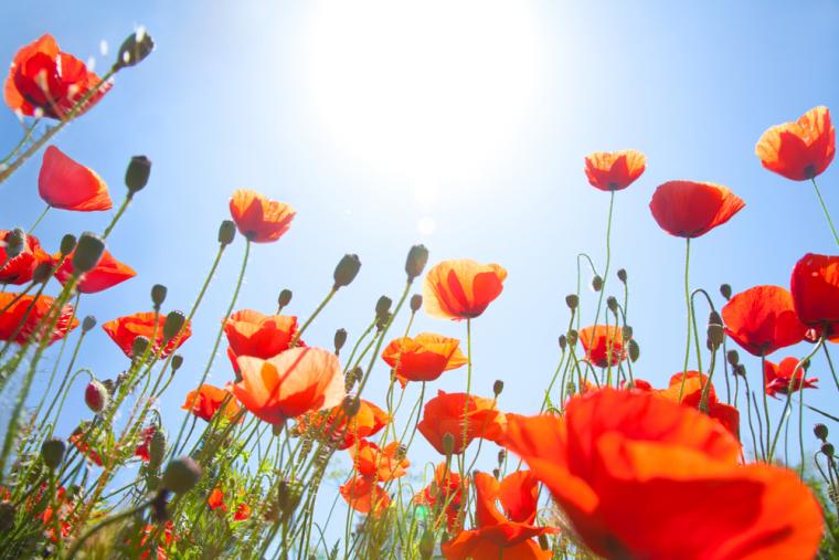 self-catering European holidays