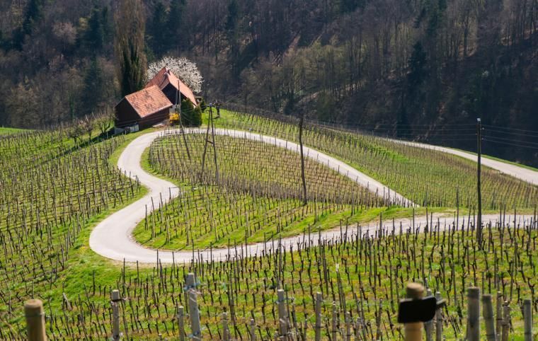Holiday homes Slovenia