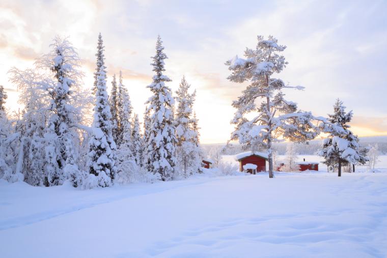 Swedish holiday homes