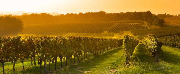 Holiday letting in France