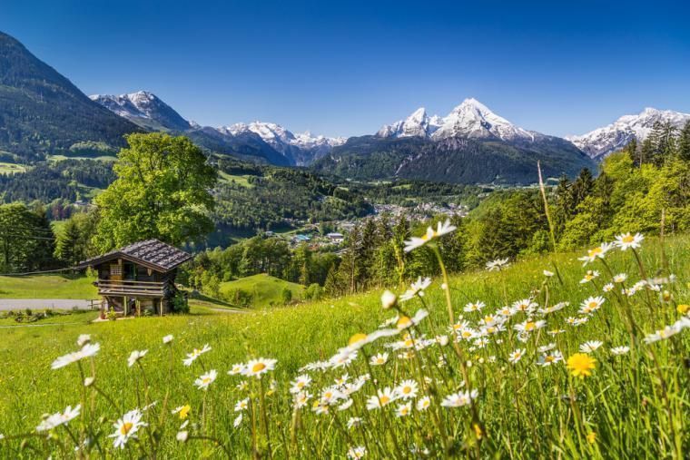 Black Forest Apartments And Holiday Homes I Novasol