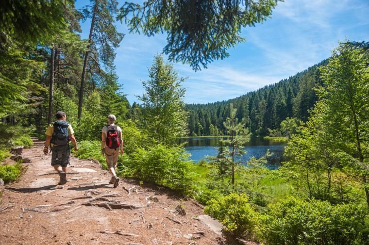 Black Forest Apartments And Holiday Homes I Novasol