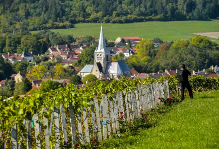 French villas