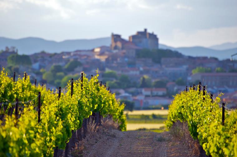 Villas in France in Languedoc