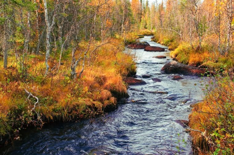 holiday cottages in Sweden